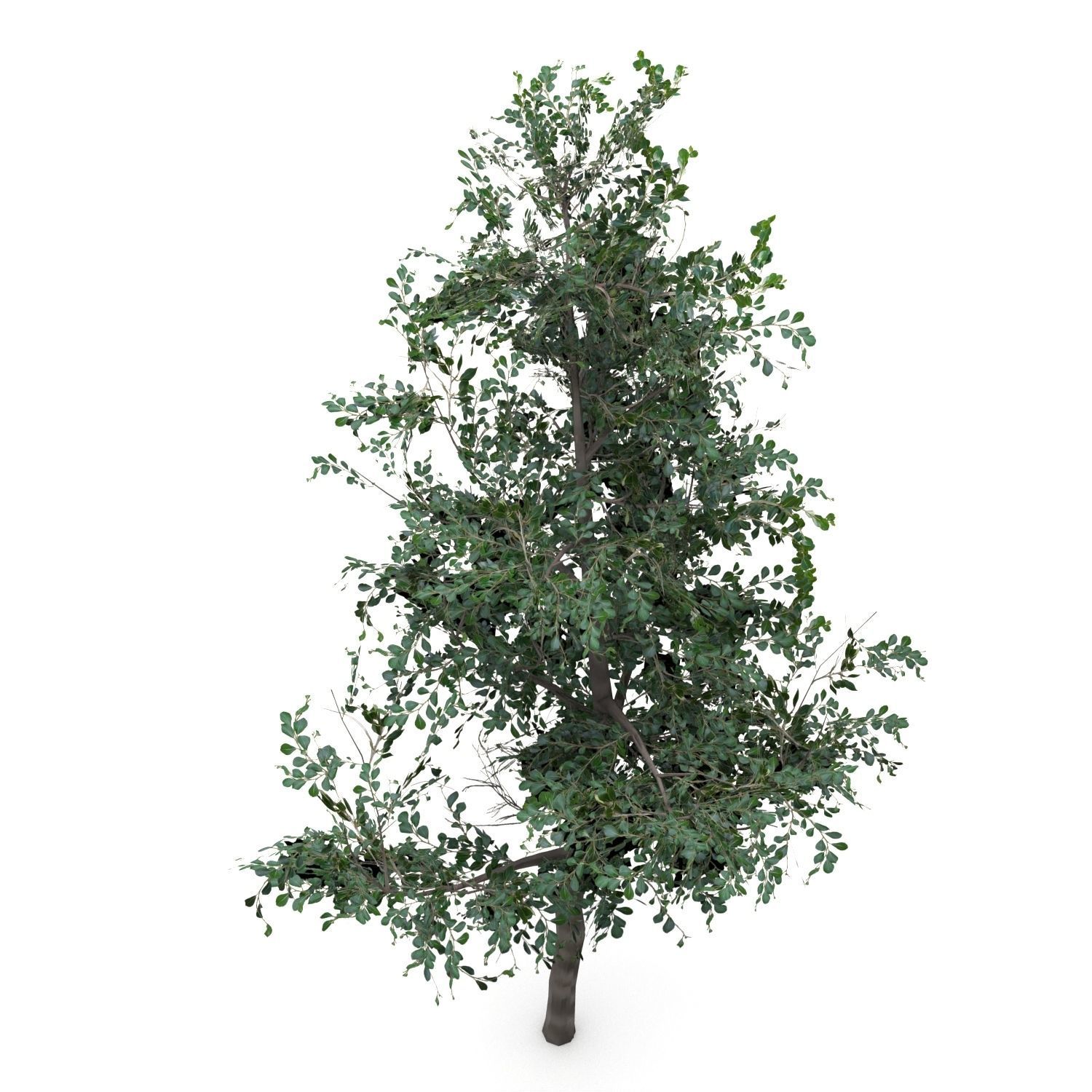 Low Poly Tree Bundle Game Ready Low-poly 3D model_11