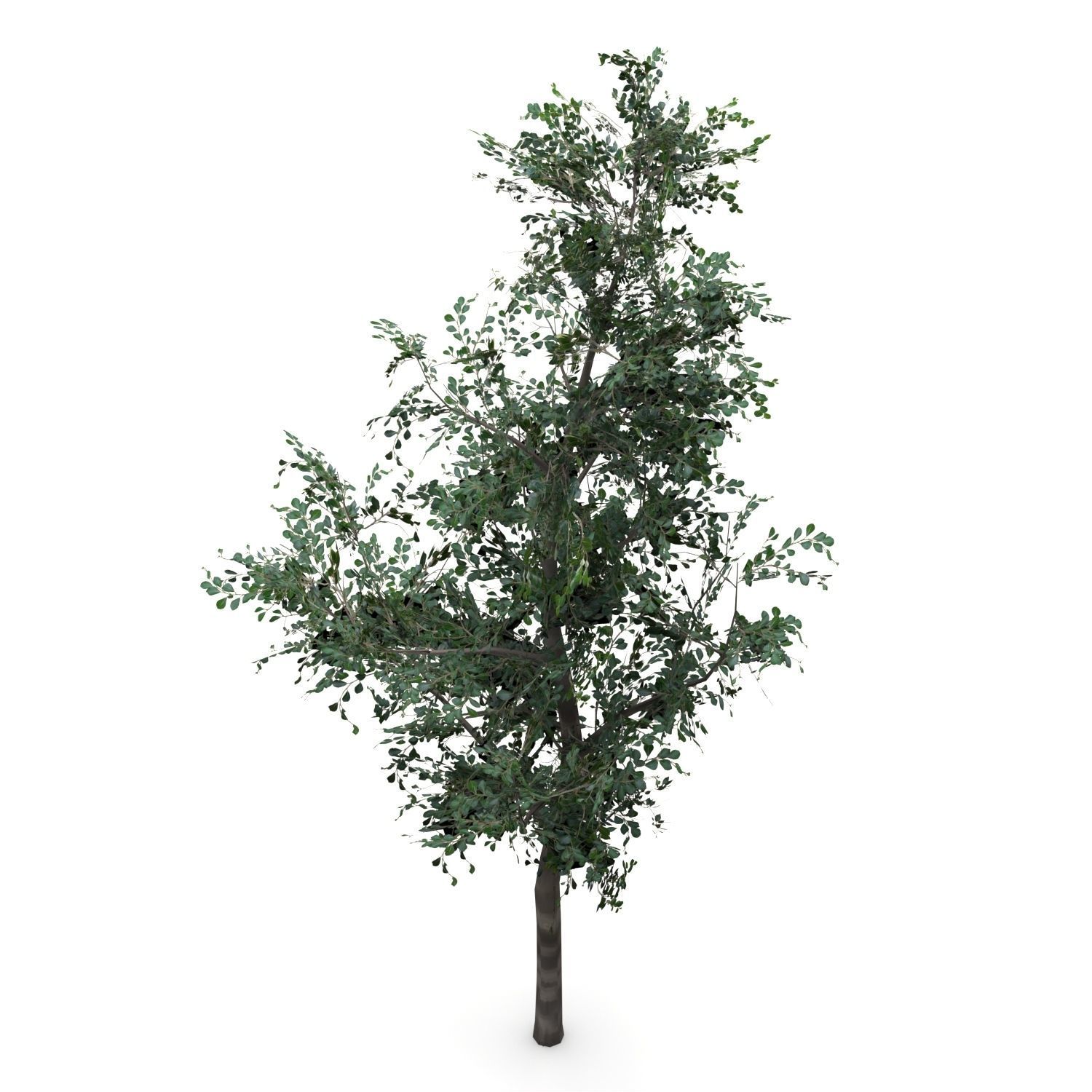 Low Poly Tree Bundle Game Ready Low-poly 3D model_10