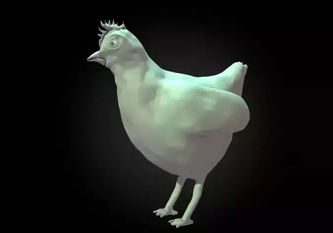 chicken bird model