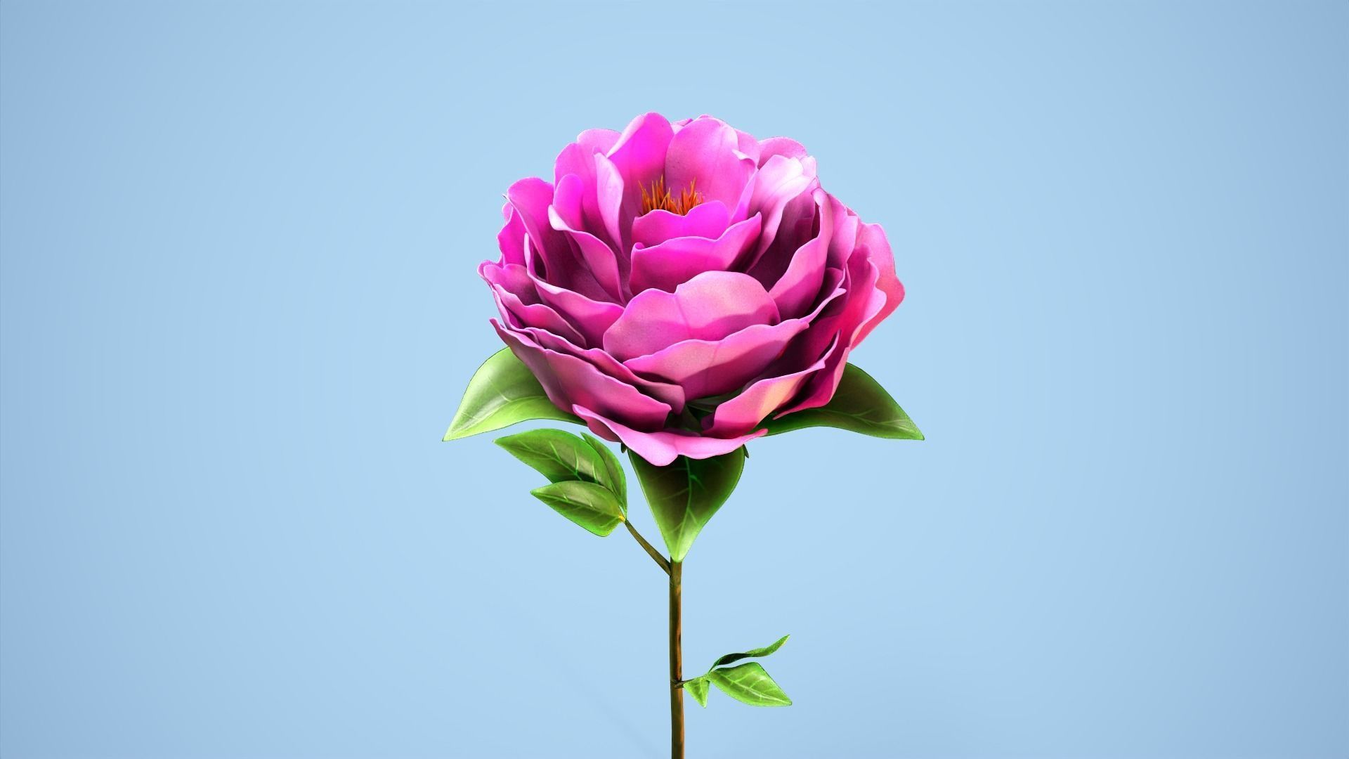 Peony flower Low-poly 3D model_1