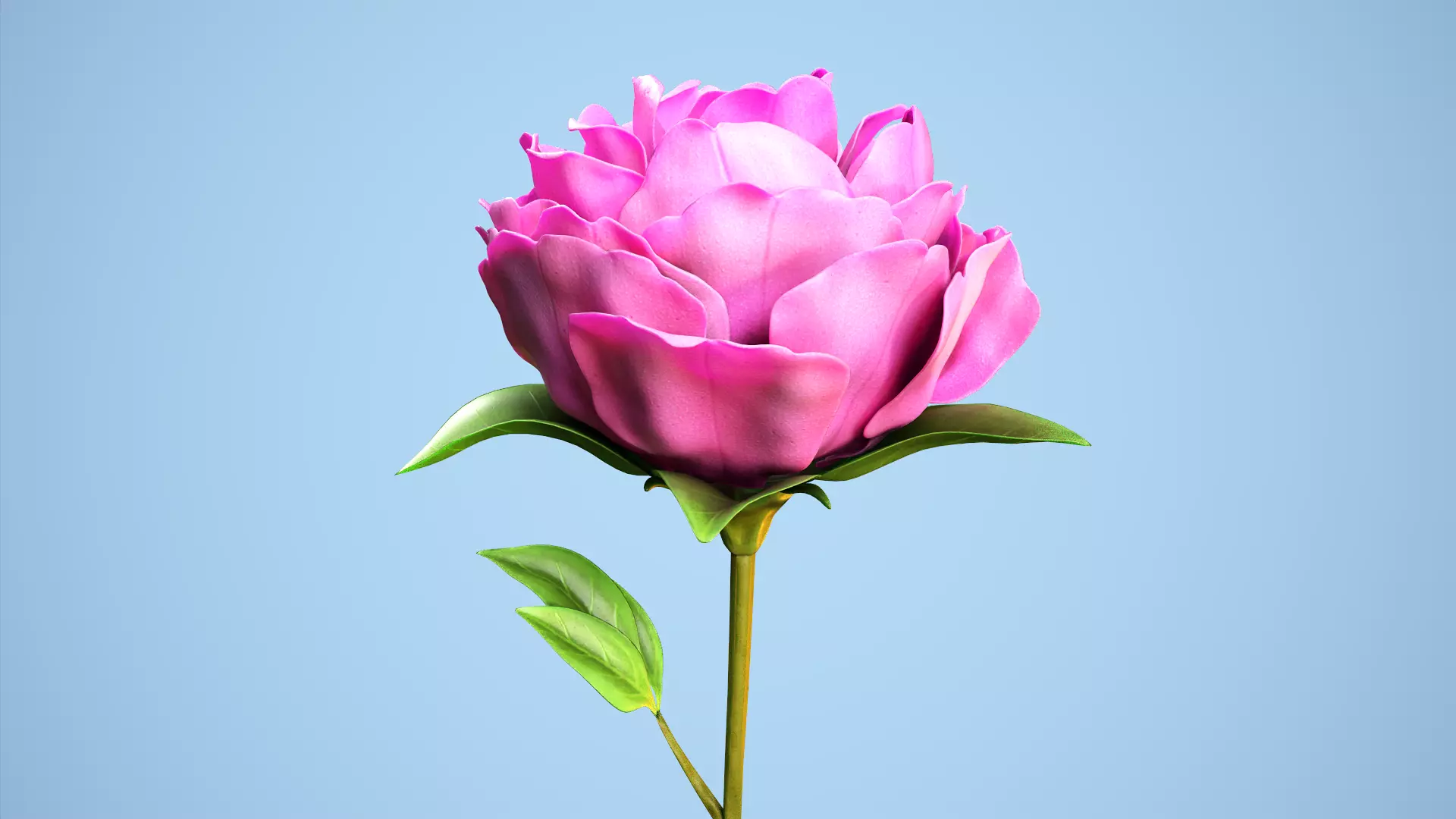 Peony flower Low-poly 3D model_0