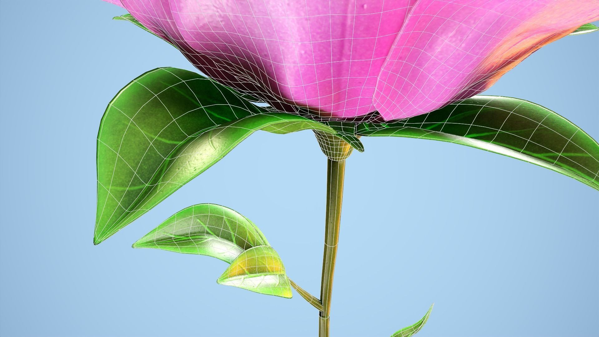 Peony flower Low-poly 3D model_11