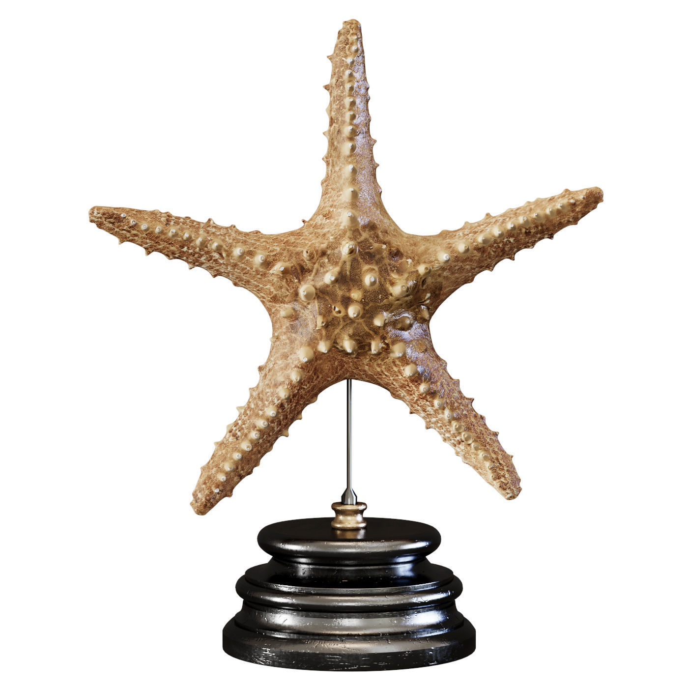 Sculptures 12 3D model_5