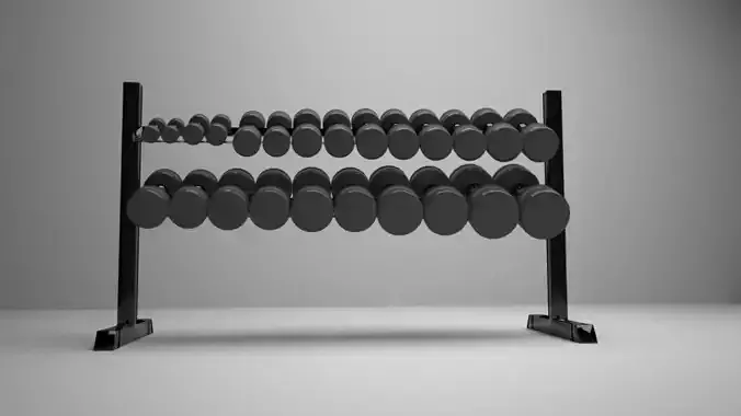 Dumbbell Set with Rack