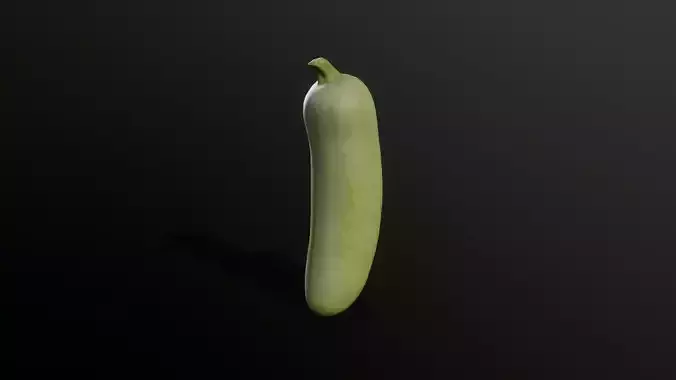 3D Scan Zucchini