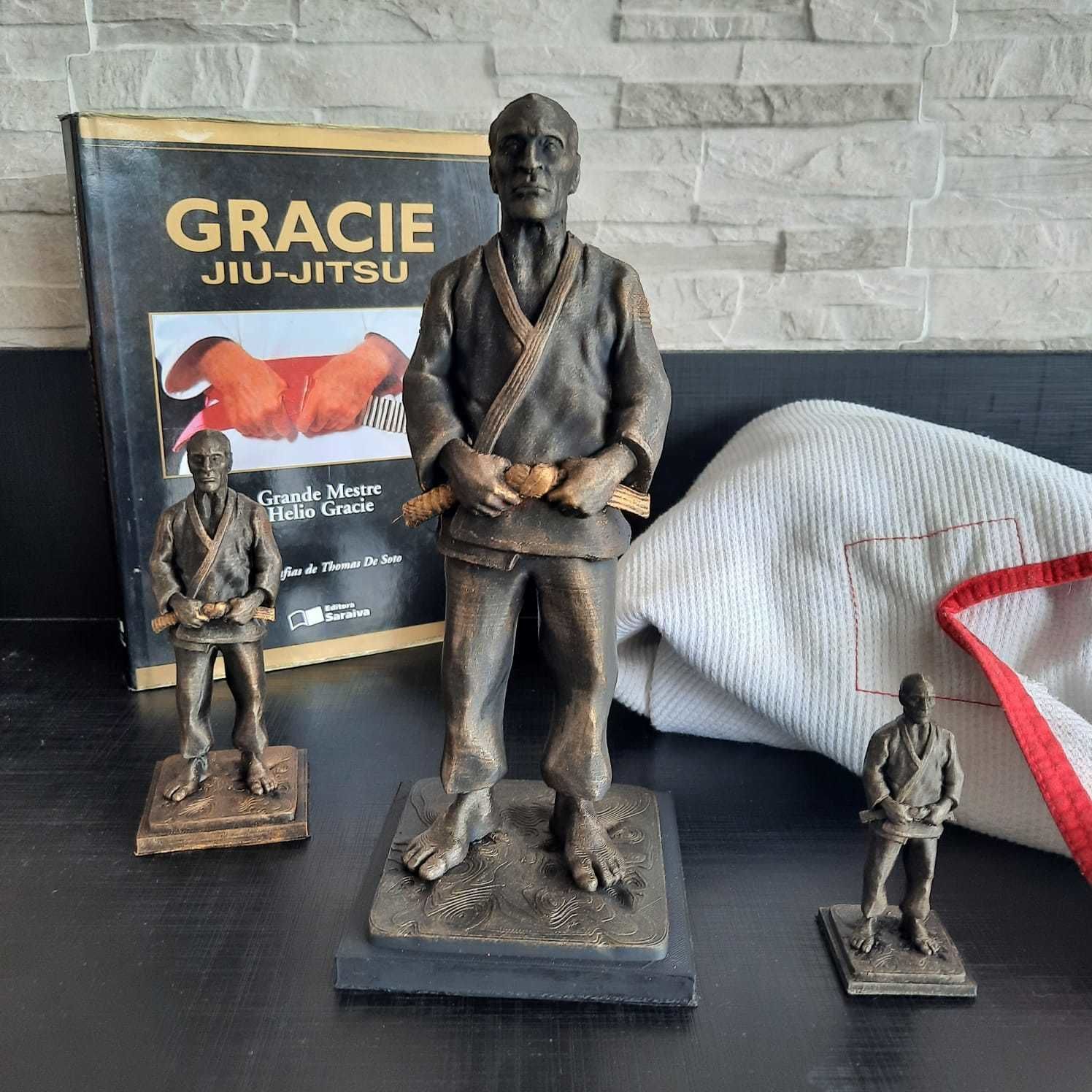 HELIO GRACIE BRAZILIAN JIUJITSU 3D print model_1