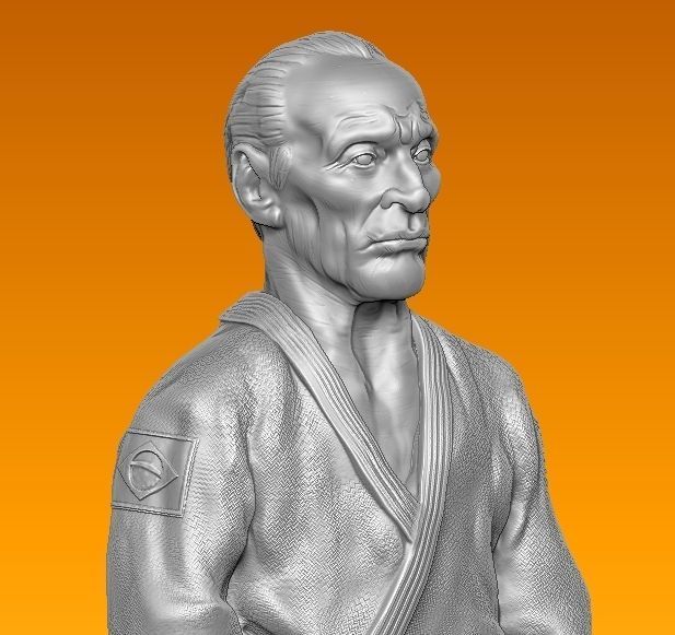 HELIO GRACIE BRAZILIAN JIUJITSU 3D print model_5
