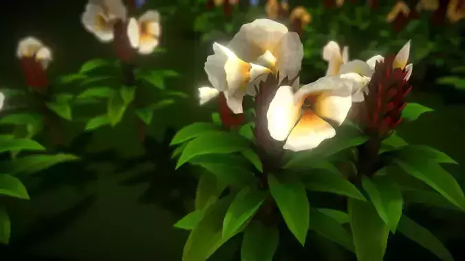 Flower Cheilocostus Speciosus