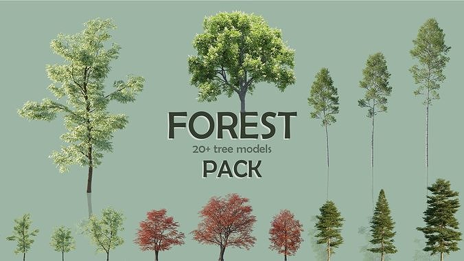 Forest Pack 3D Model Collection