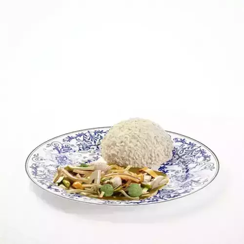 Porcelain Plate With Chinese Food