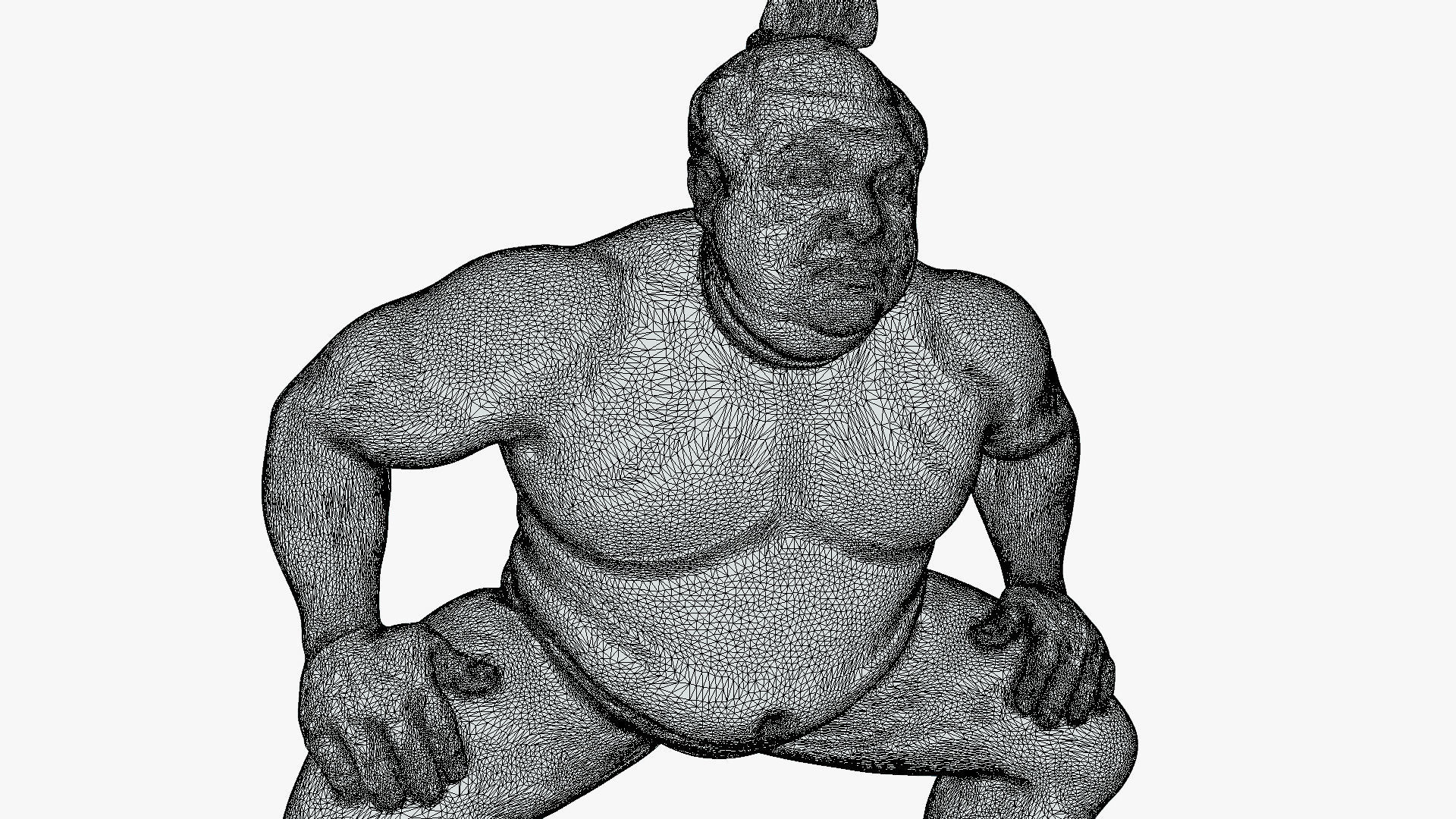 Sumo Wrestler 3D model_8