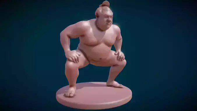 Sumo Wrestler