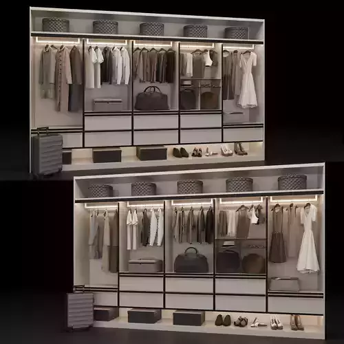 Wardrobe closet with clothes and luggage