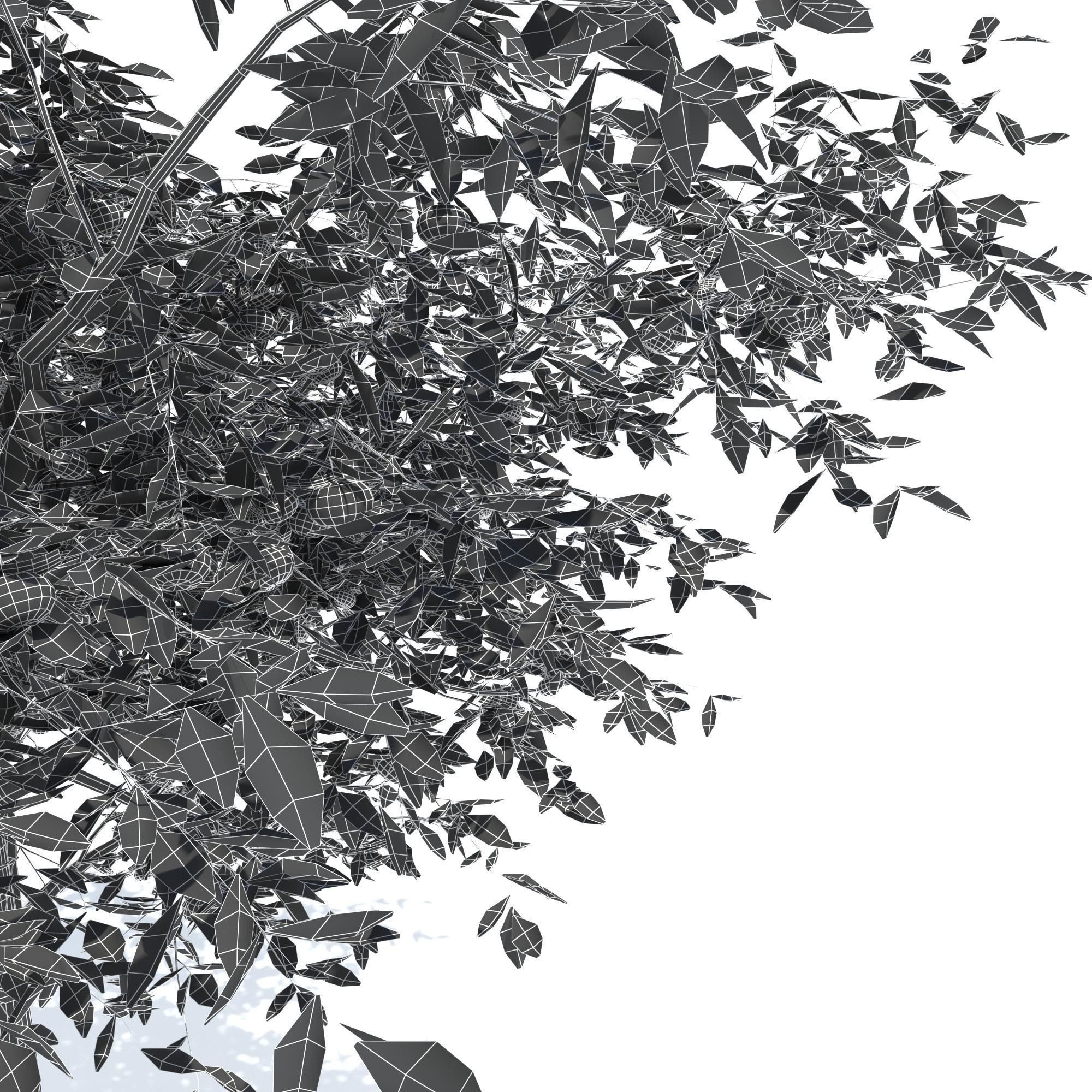 Mandarin tree Free 3D model_10