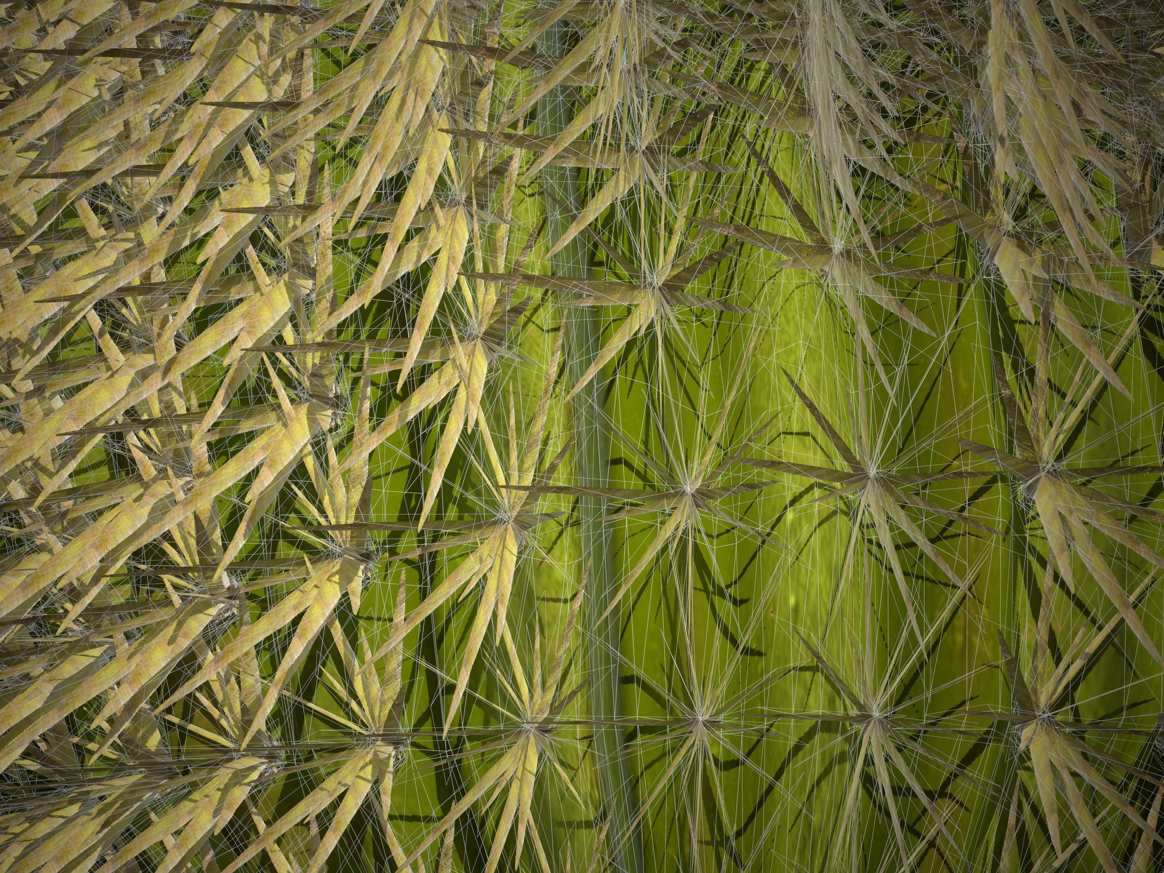 2021 PBR Barrel Cactus Collection - Echinocactus Acanthodes  3D model_7