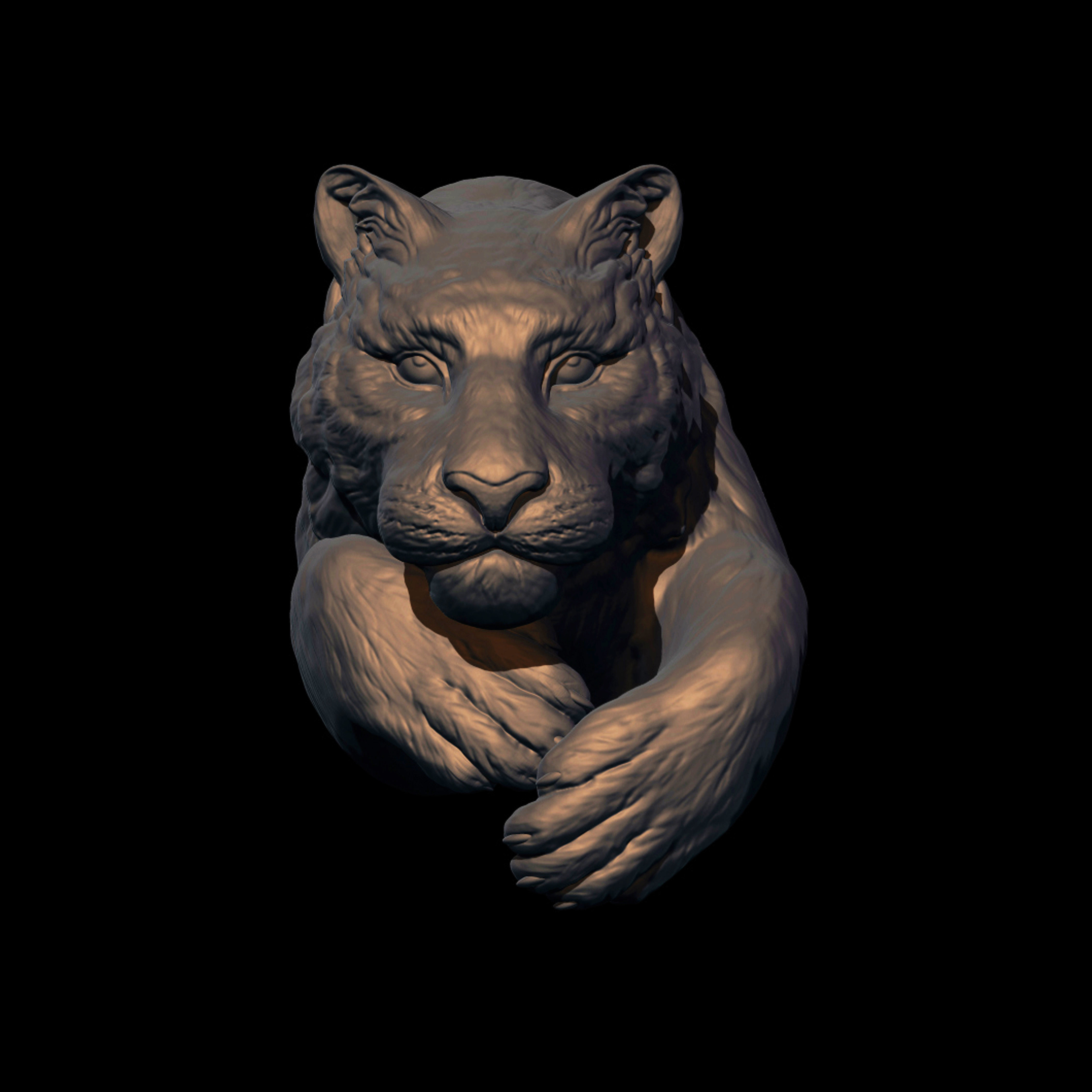 Tiger model for 3D printing Free 3D print model_2