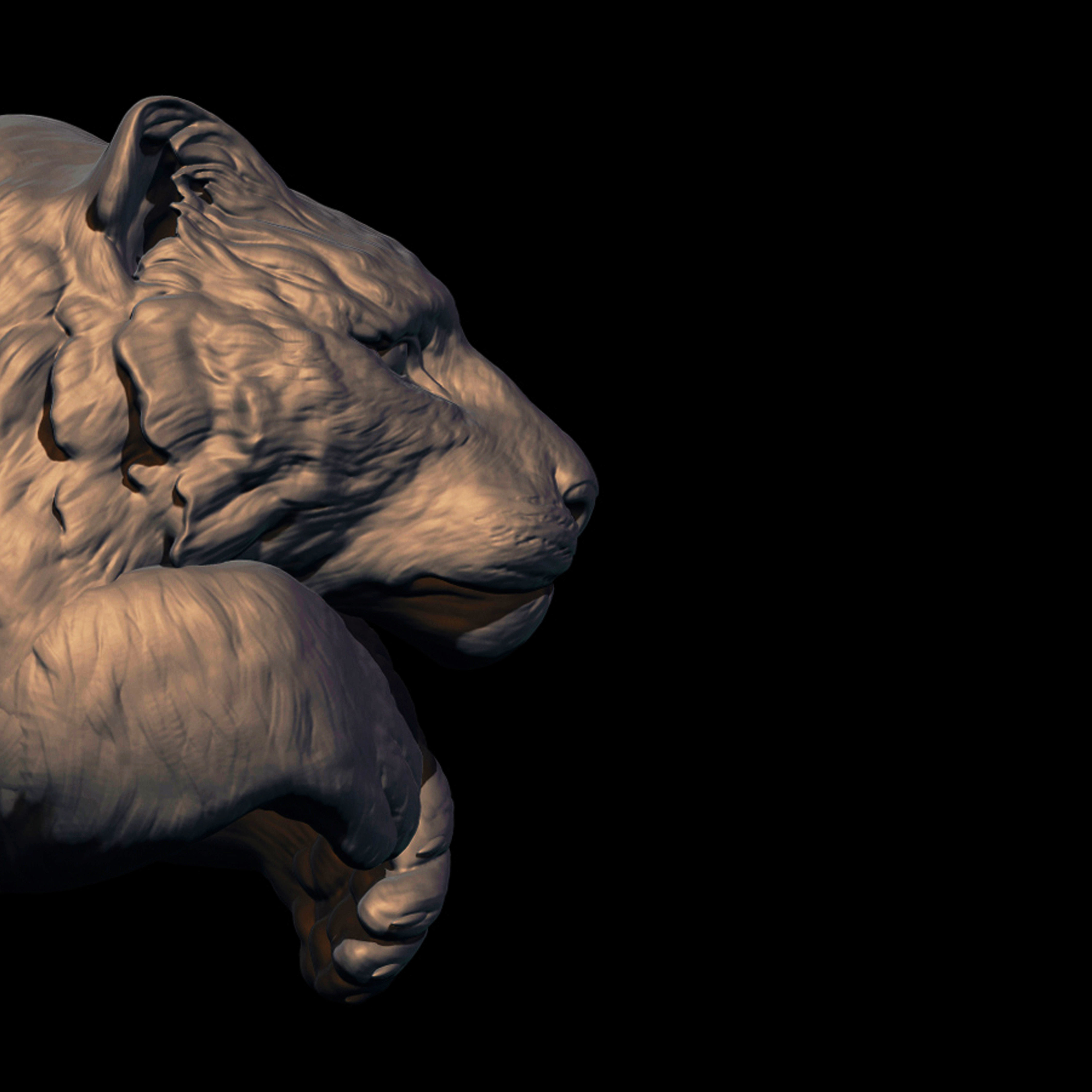 Tiger model for 3D printing Free 3D print model_1