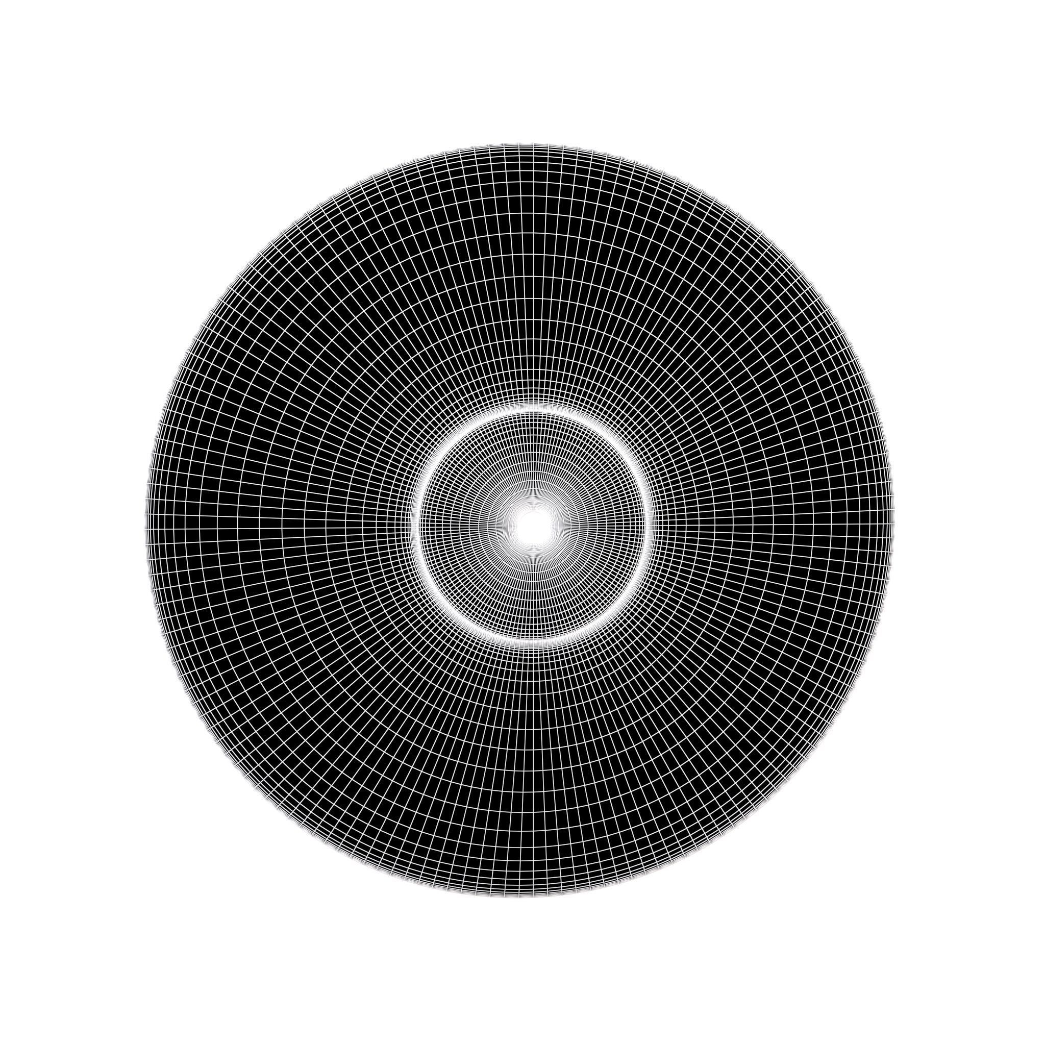 Vinyl Record v1 005 Low-poly 3D model_6