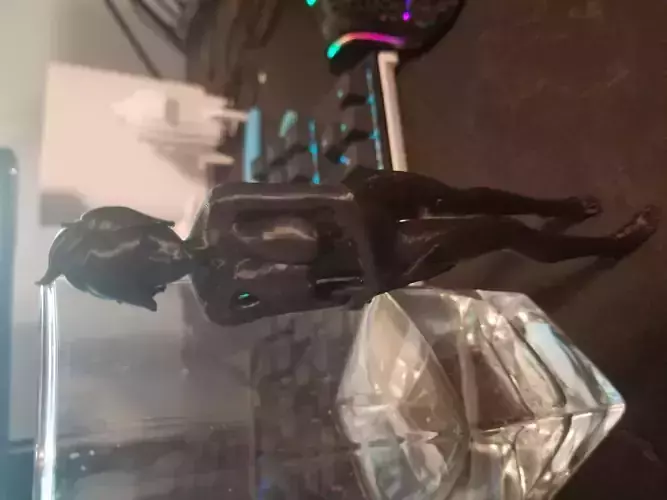 Tracer Overwatch Hentai 3d Print