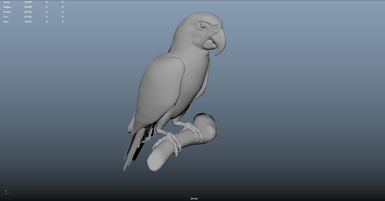 Blue and Gold Macaw Parrot  Low-poly 3D model_6