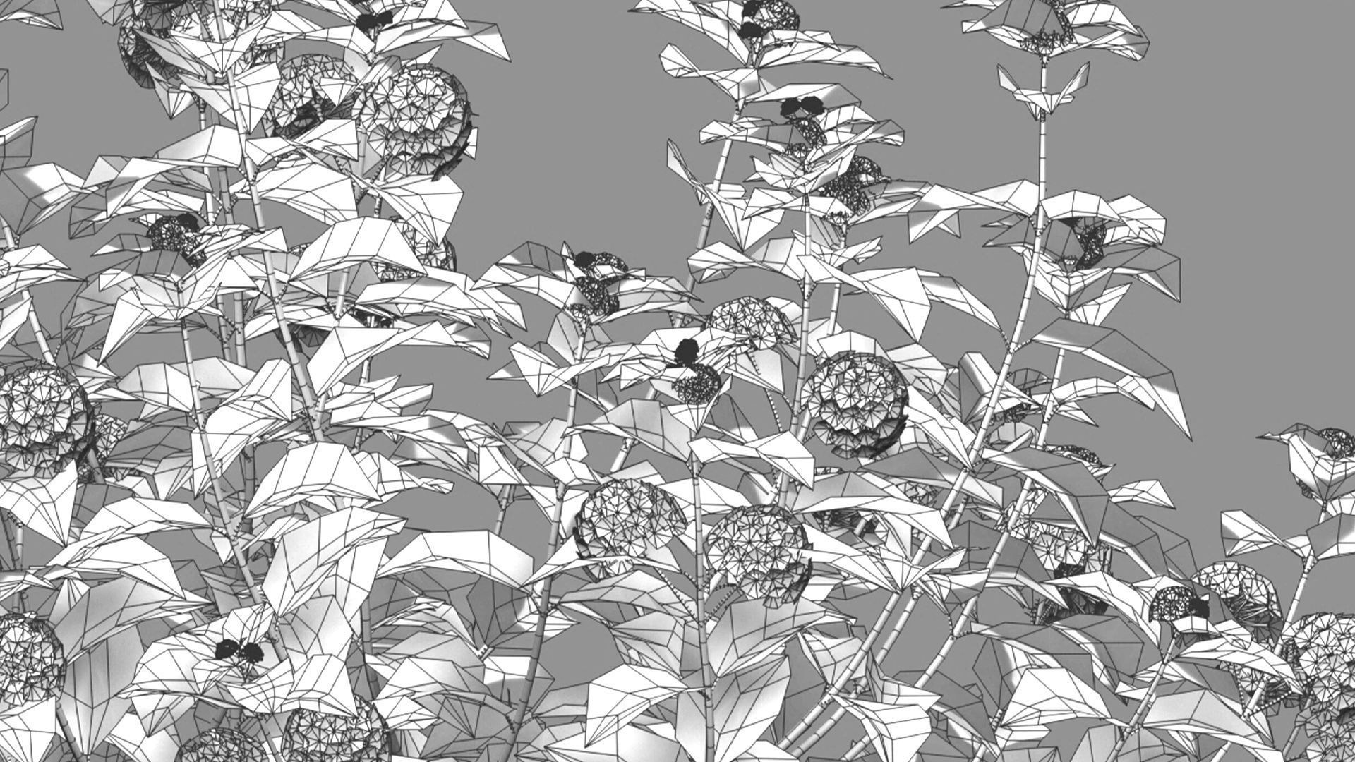 Lantana camara 3D model_3