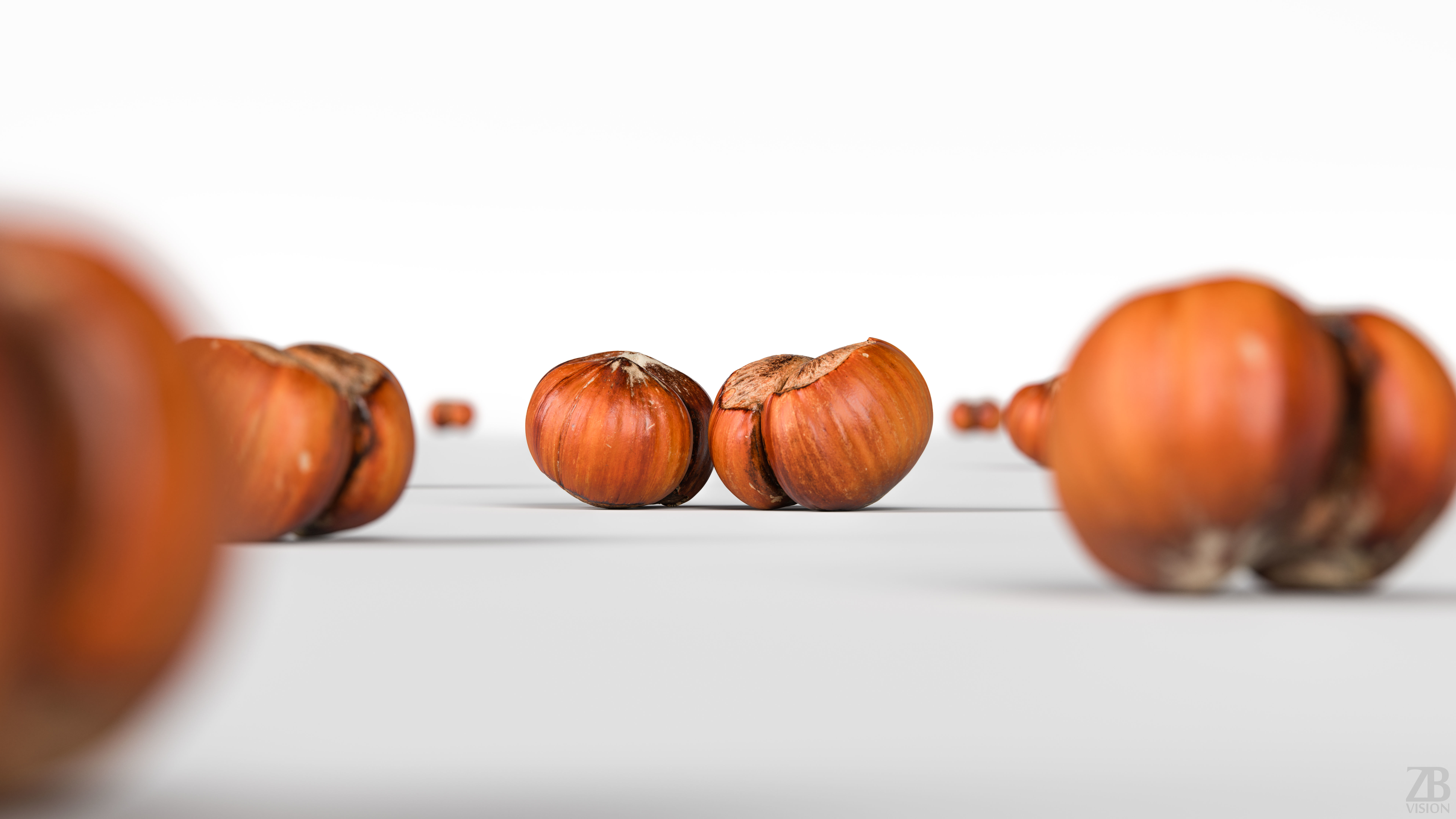 Hazelnut 3D model_1