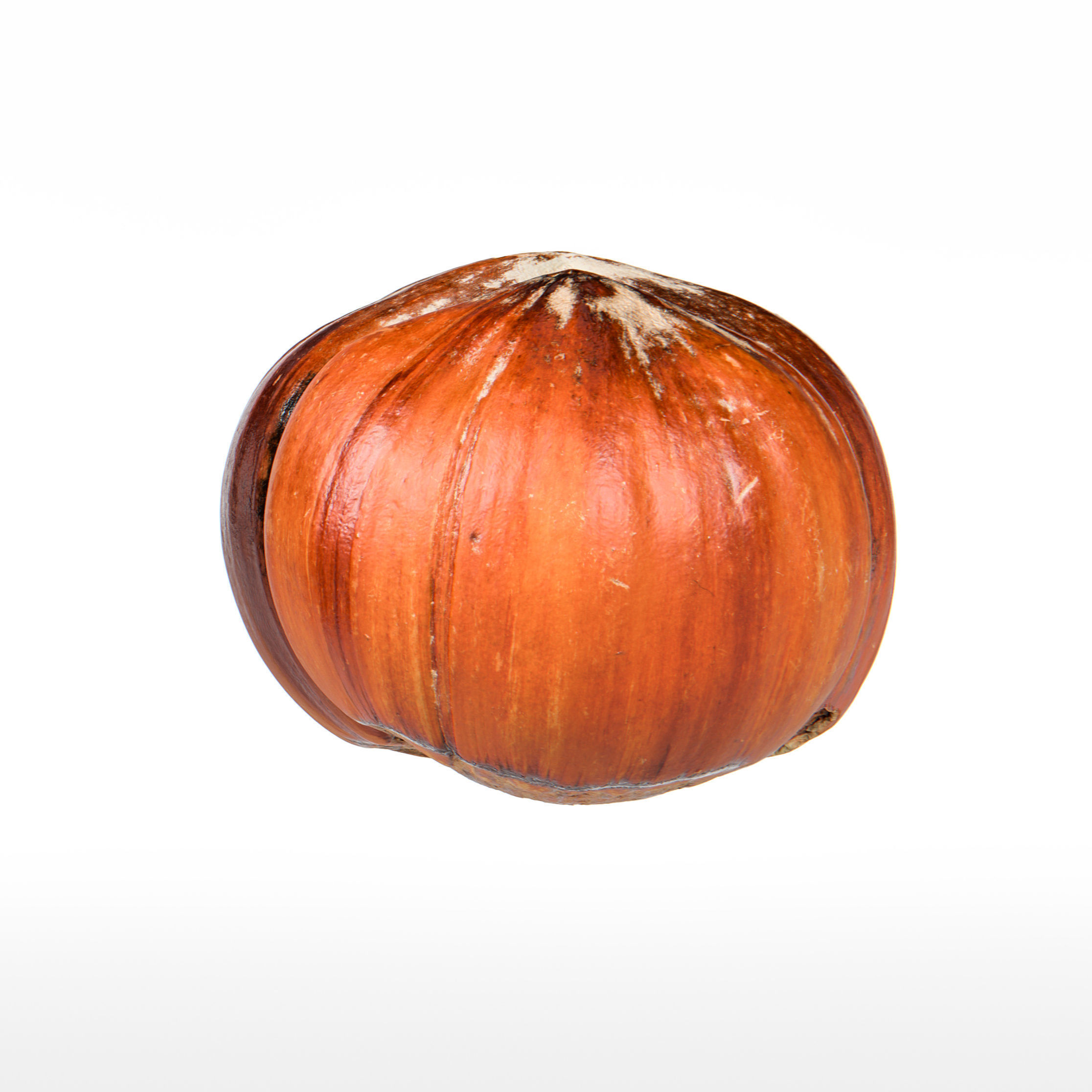 Hazelnut 3D model_8