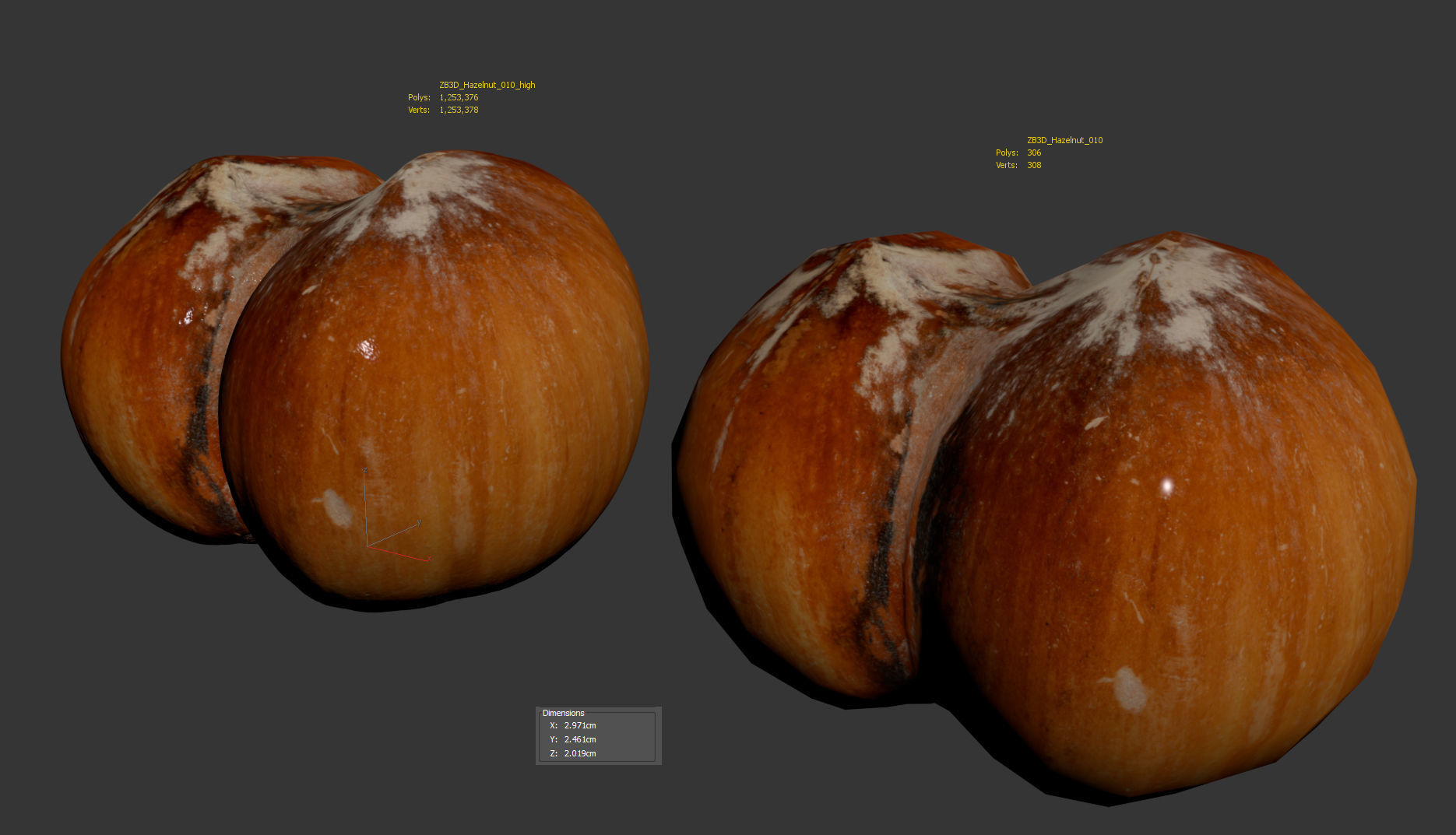 Hazelnut 3D model_9