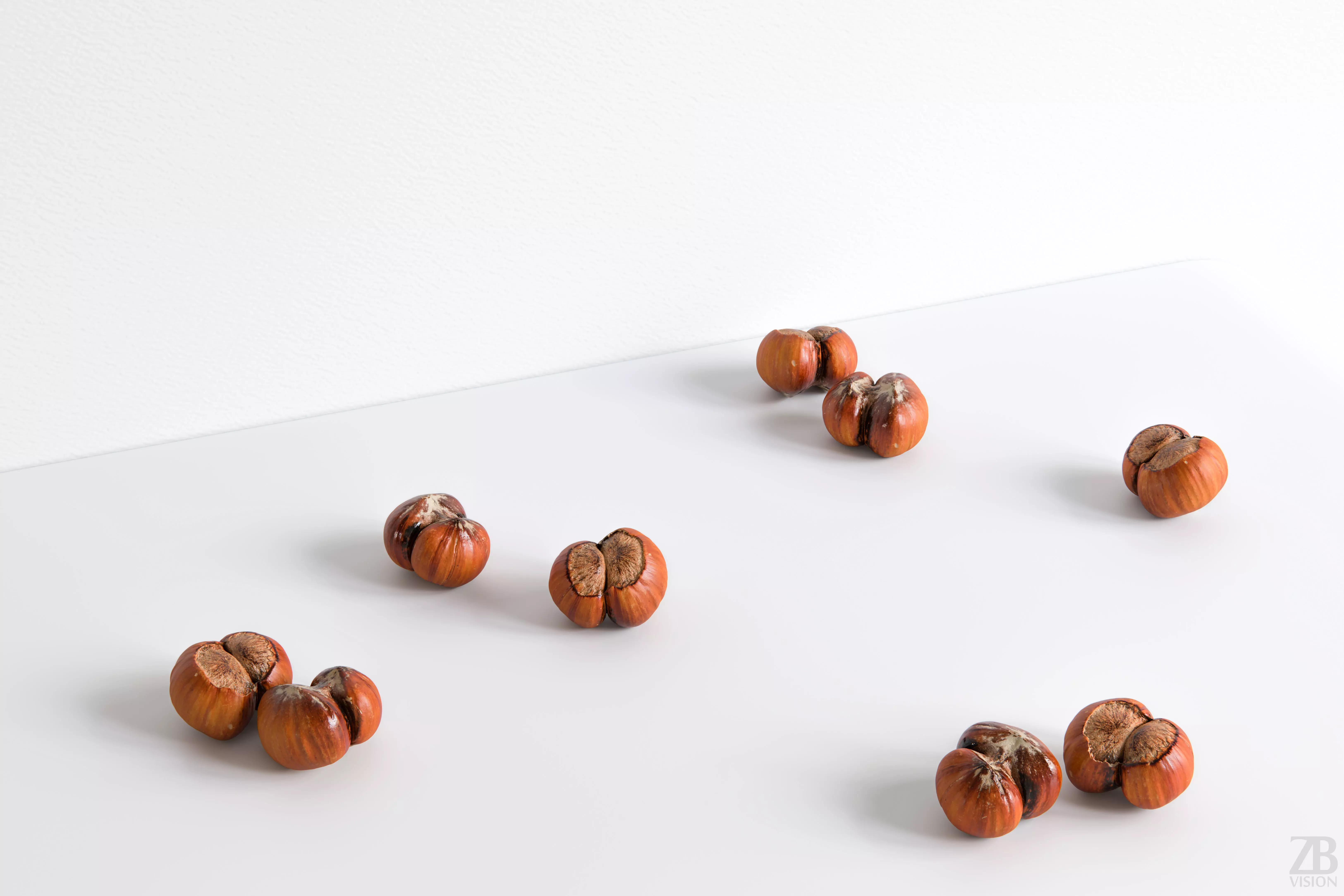 Hazelnut 3D model_0