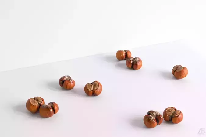 Hazelnut 3D model