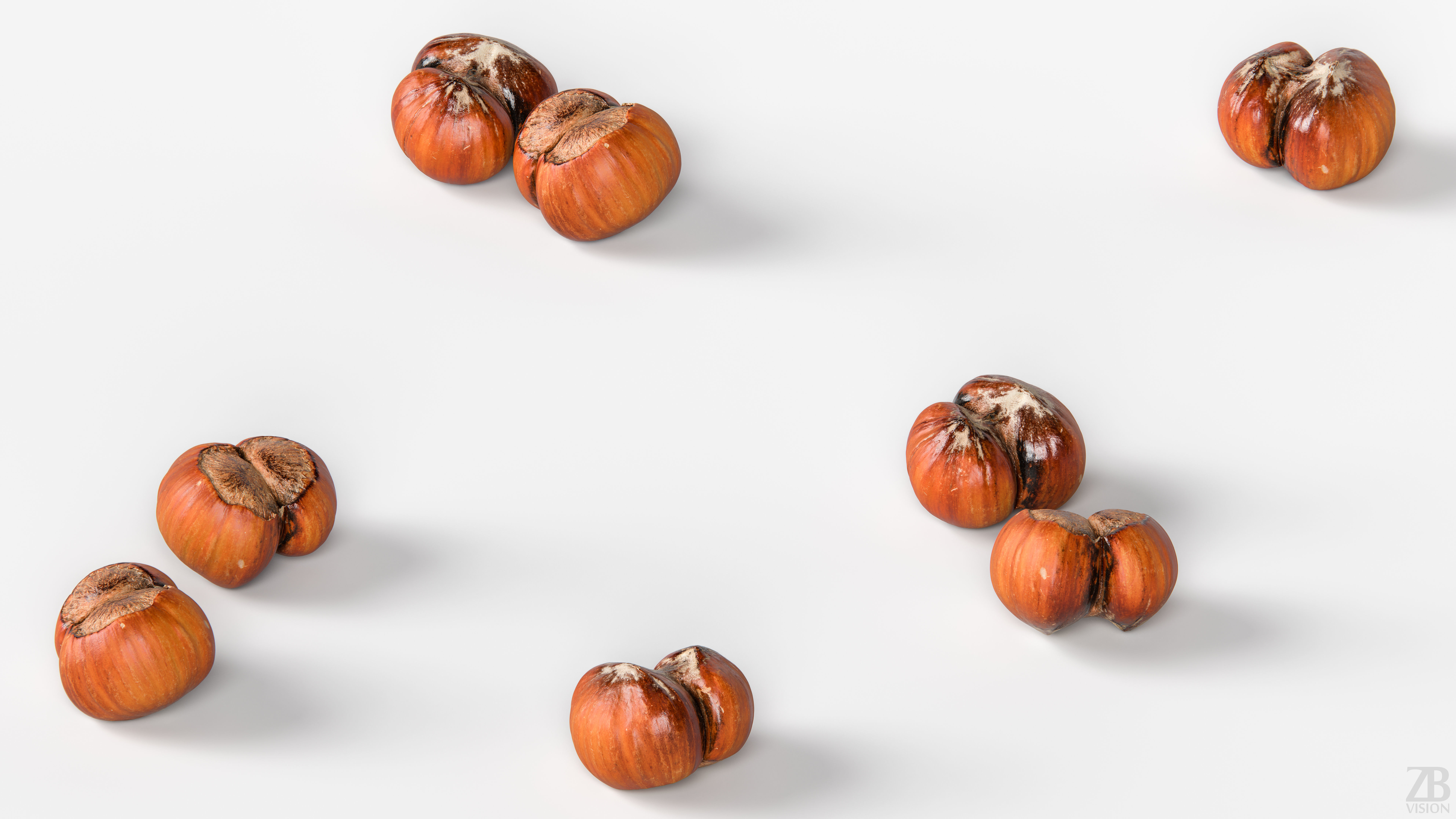 Hazelnut 3D model_2