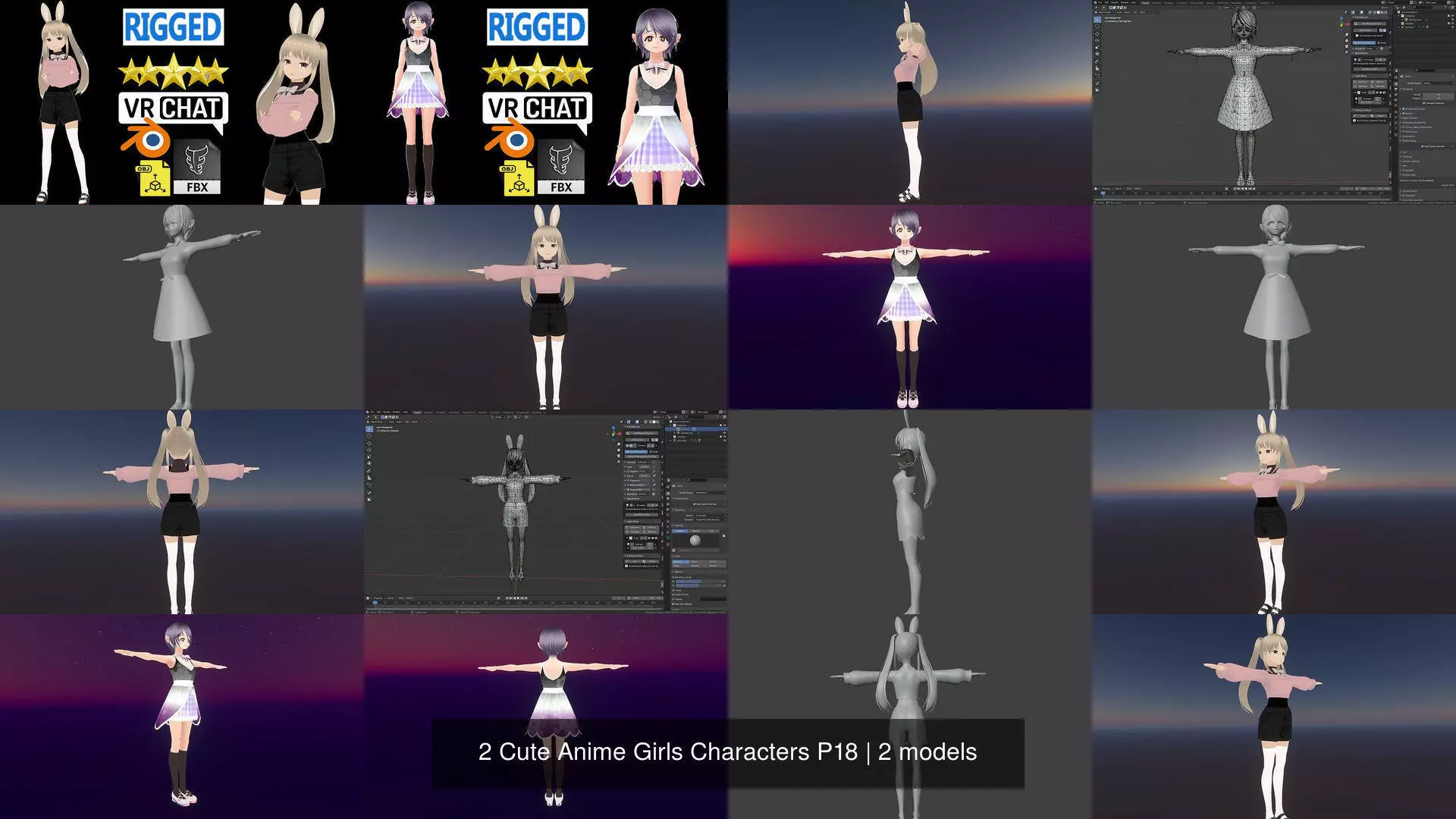 2 Cute Anime Girls Characters P18 3D Model Collection_1