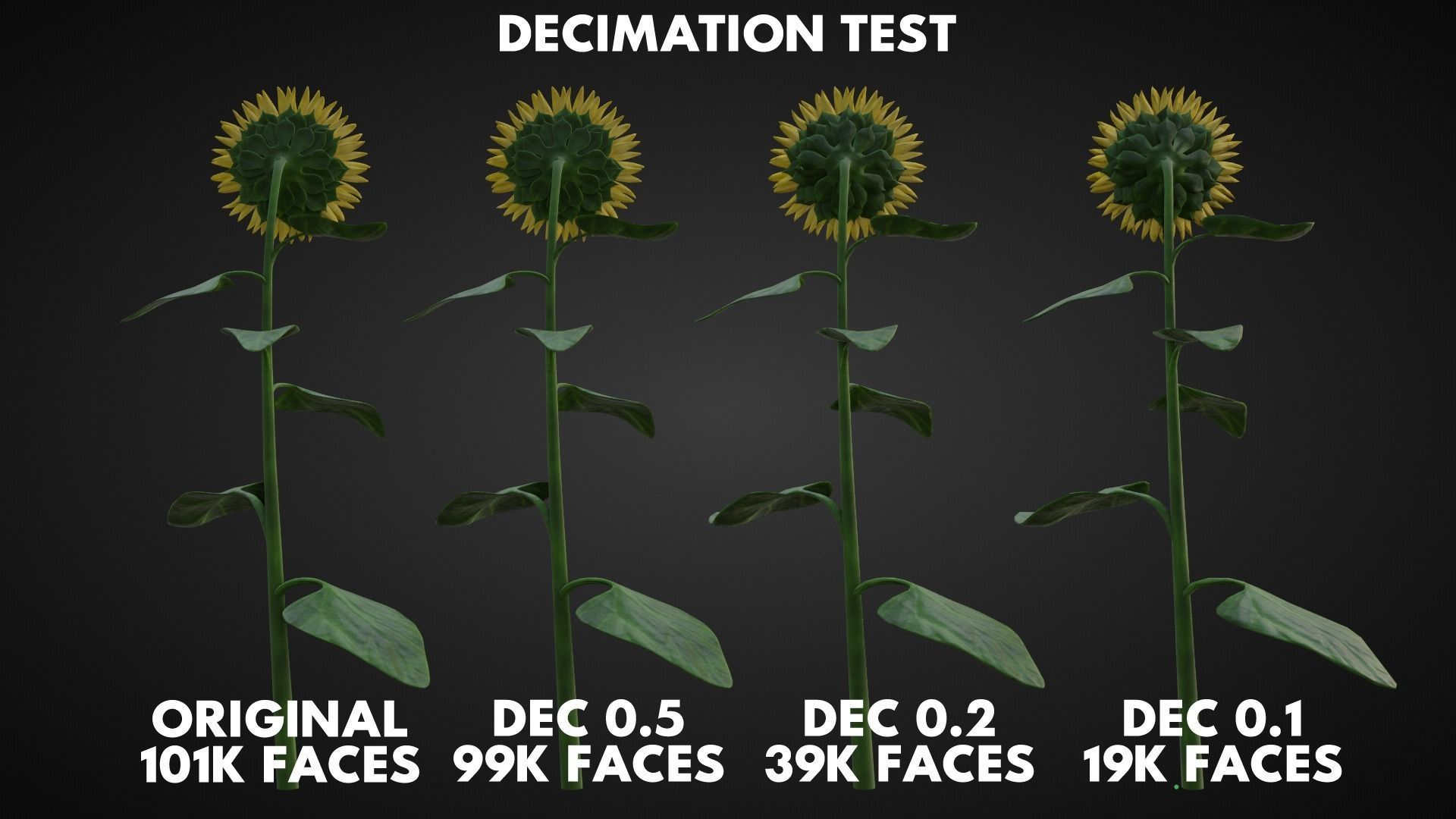 Sunflower 3D model_10