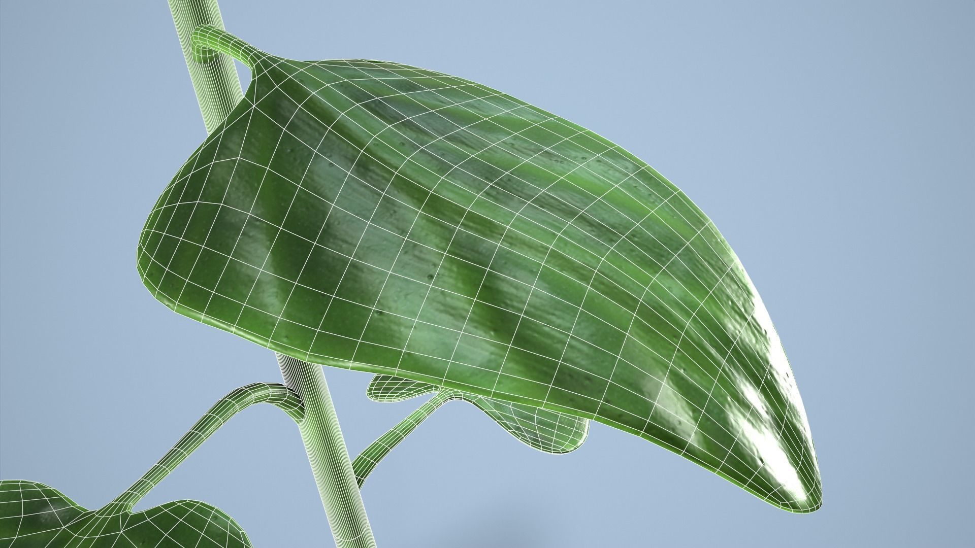 Sunflower 3D model_16