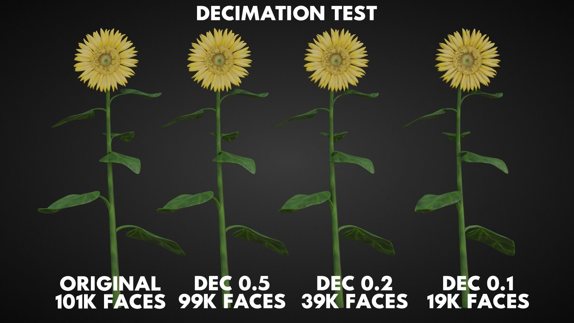 Sunflower 3D model_8