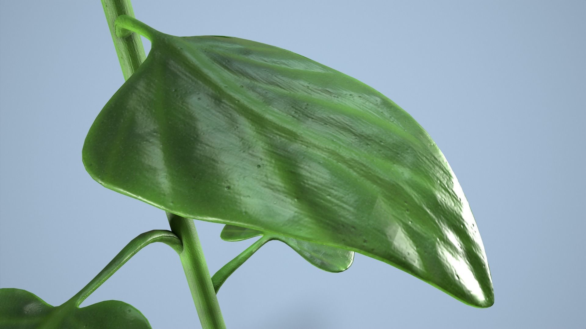 Sunflower 3D model_5