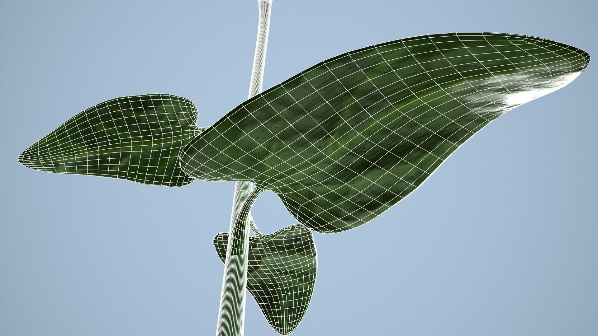 Sunflower 3D model_17