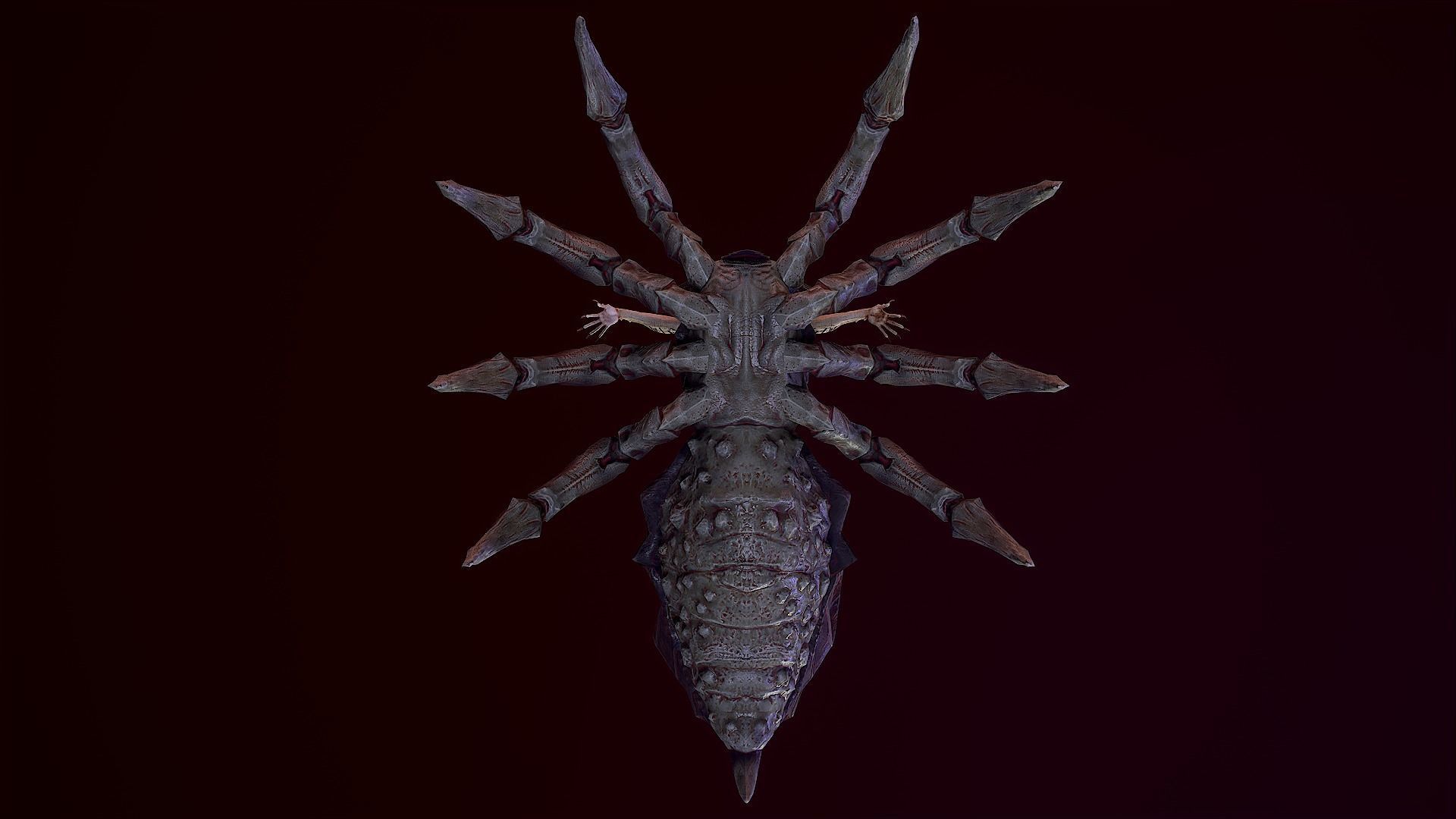 Spider Queen Low-poly 3D model_7