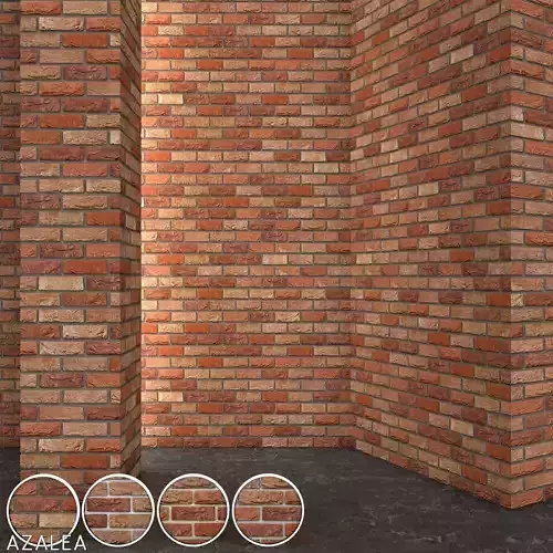 Vandersanden Brick Azalea