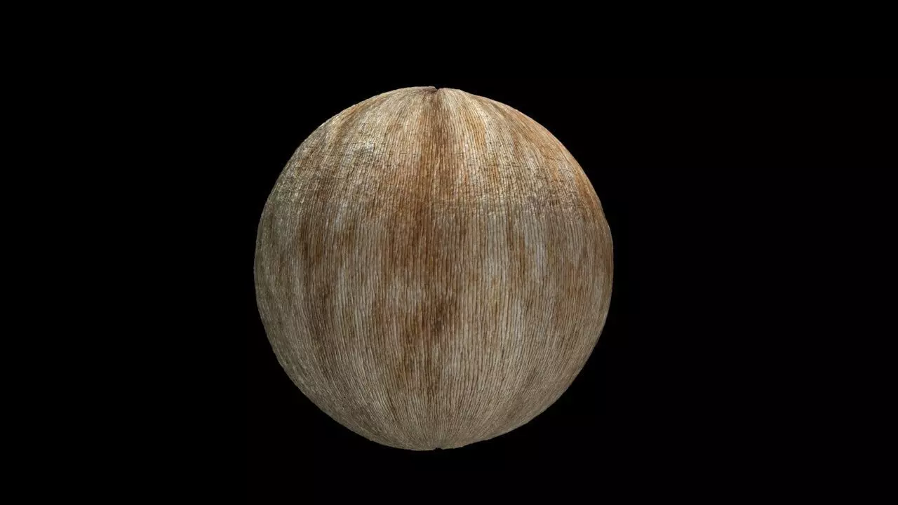 wood metarial Texture_0