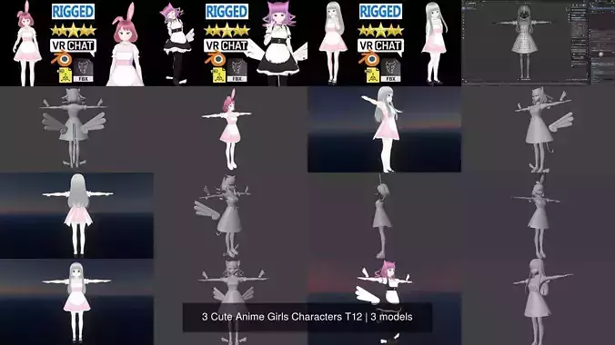 3 Cute Anime Girls Characters T12