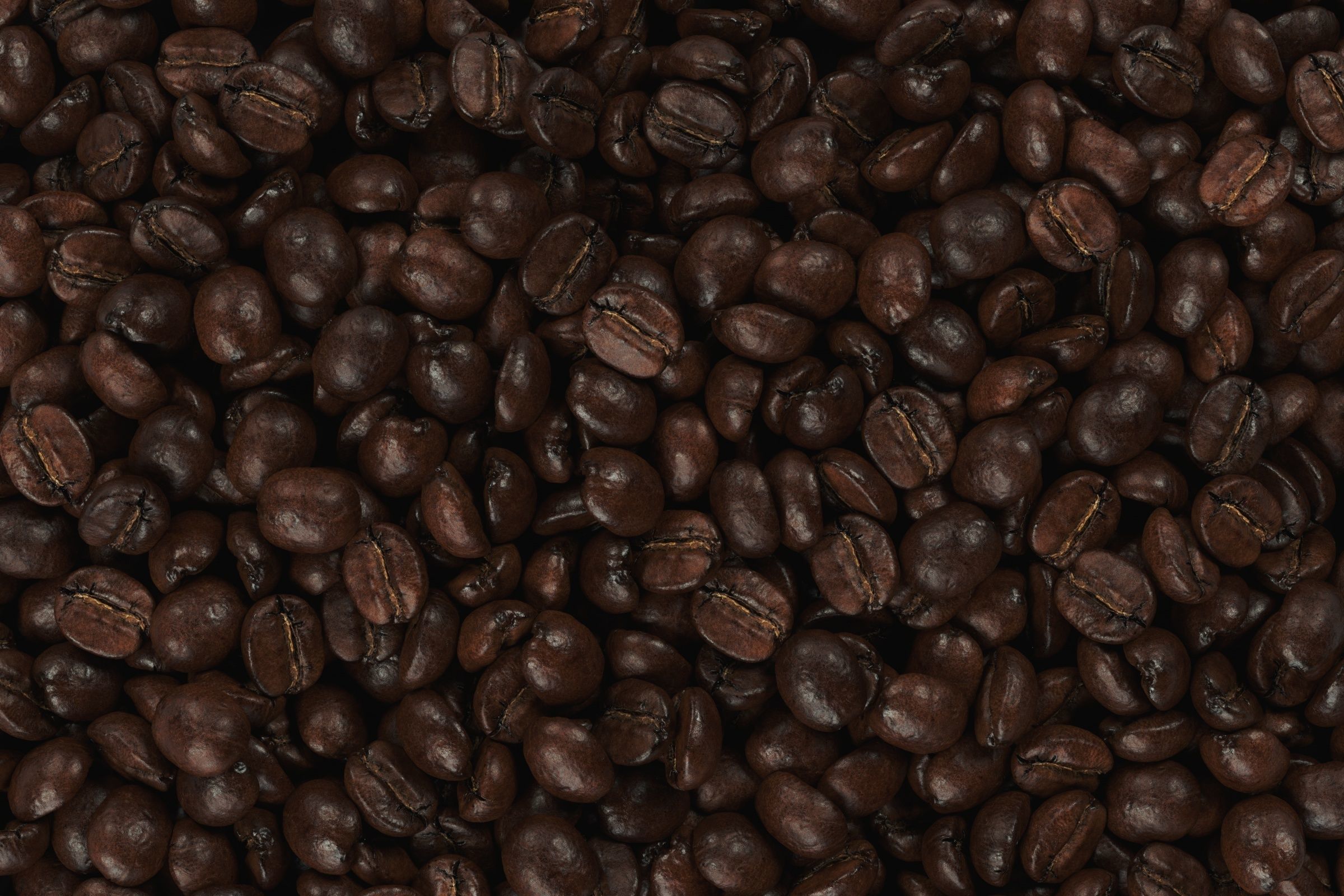 POLYPASTA - Coffeebean 02 3D model_2