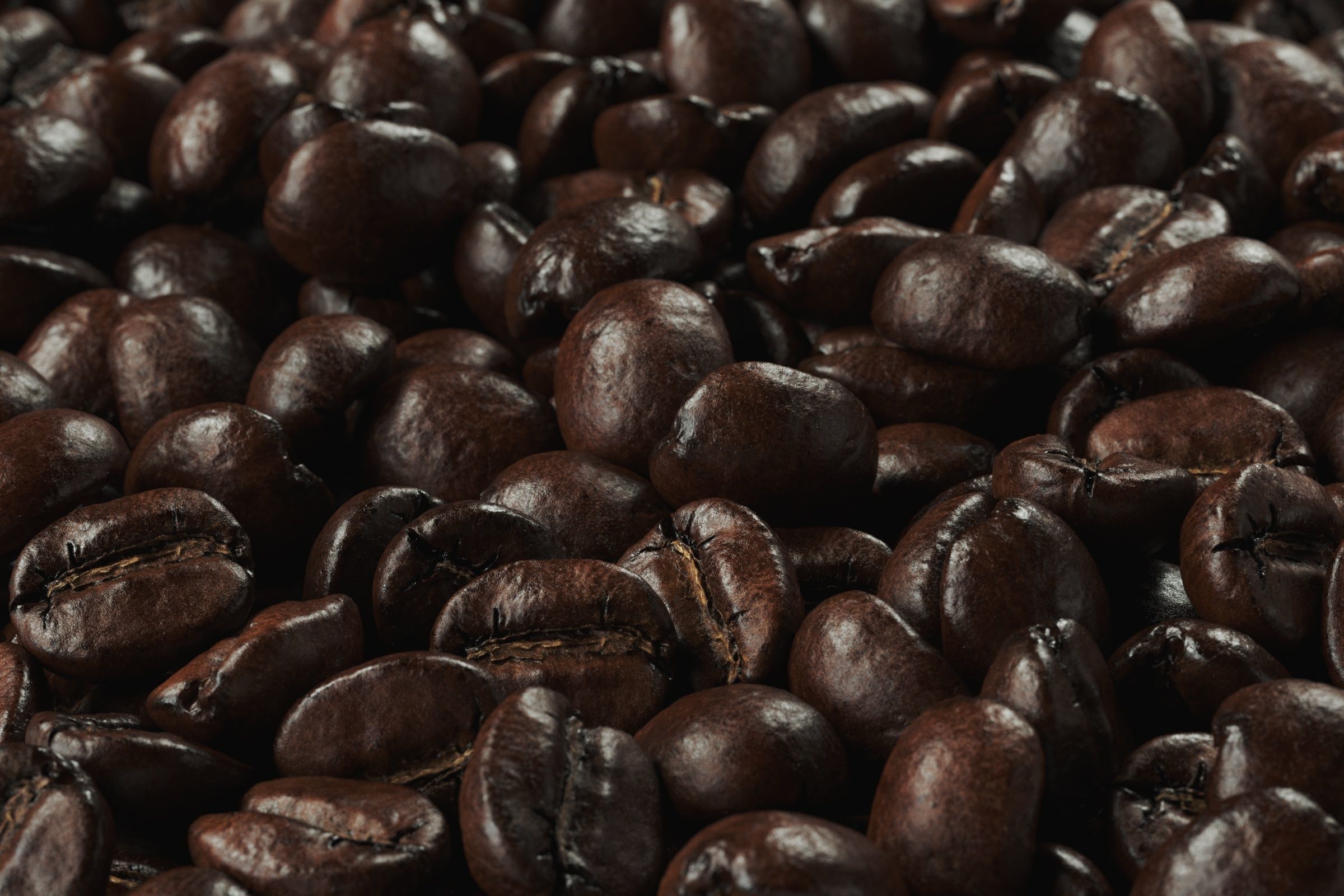 POLYPASTA - Coffeebean 02 3D model_3