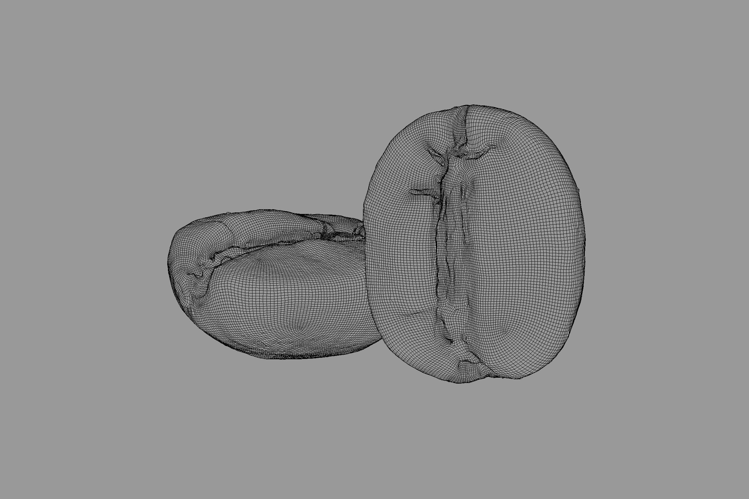 POLYPASTA - Coffeebean 02 3D model_8