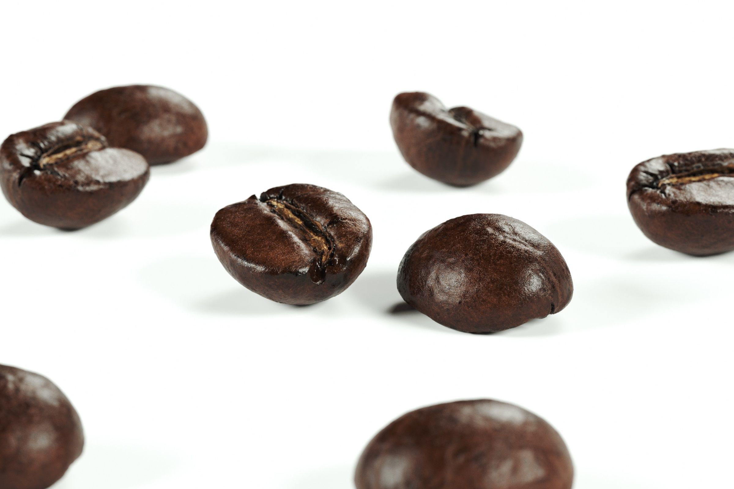 POLYPASTA - Coffeebean 02 3D model_5