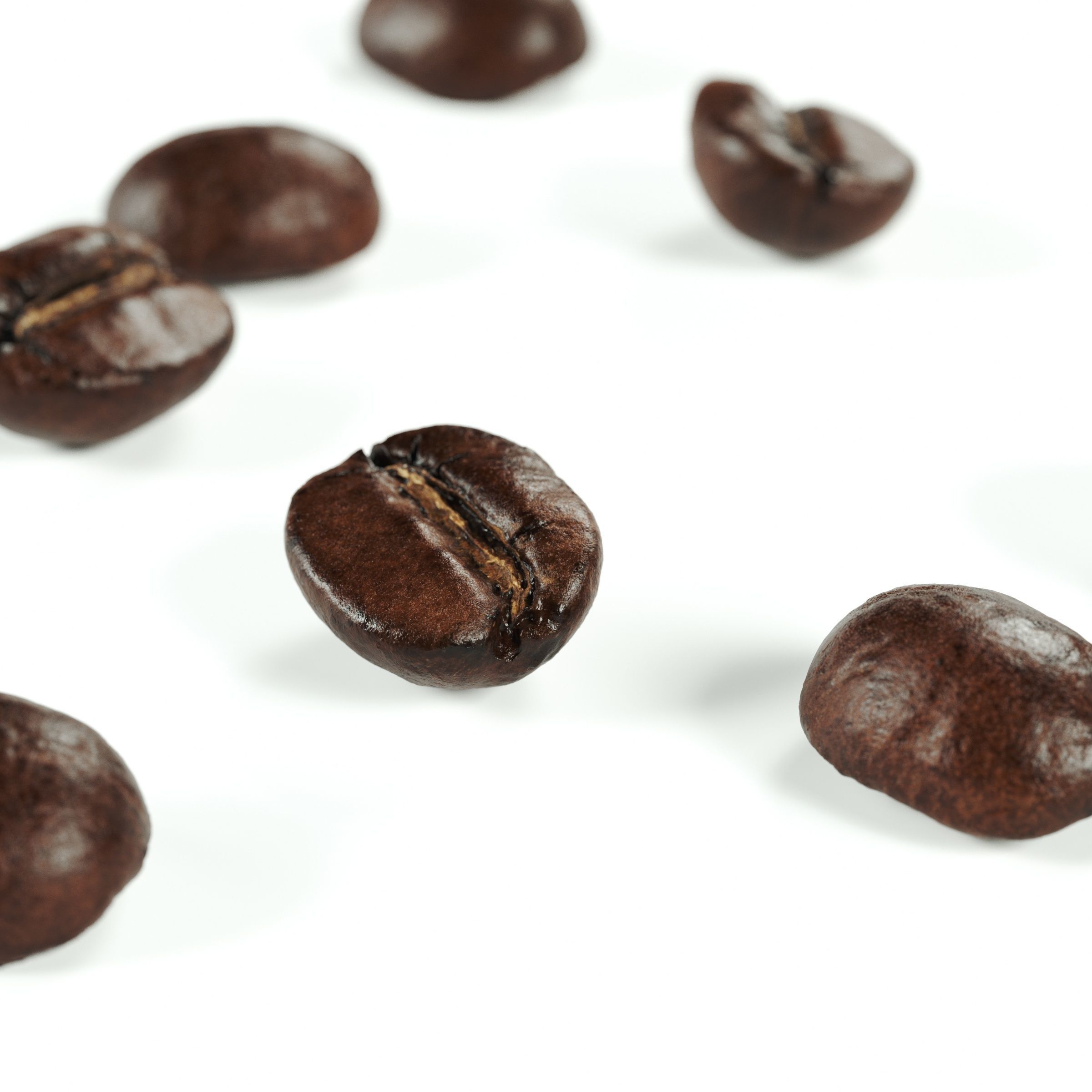 POLYPASTA - Coffeebean 02 3D model_4