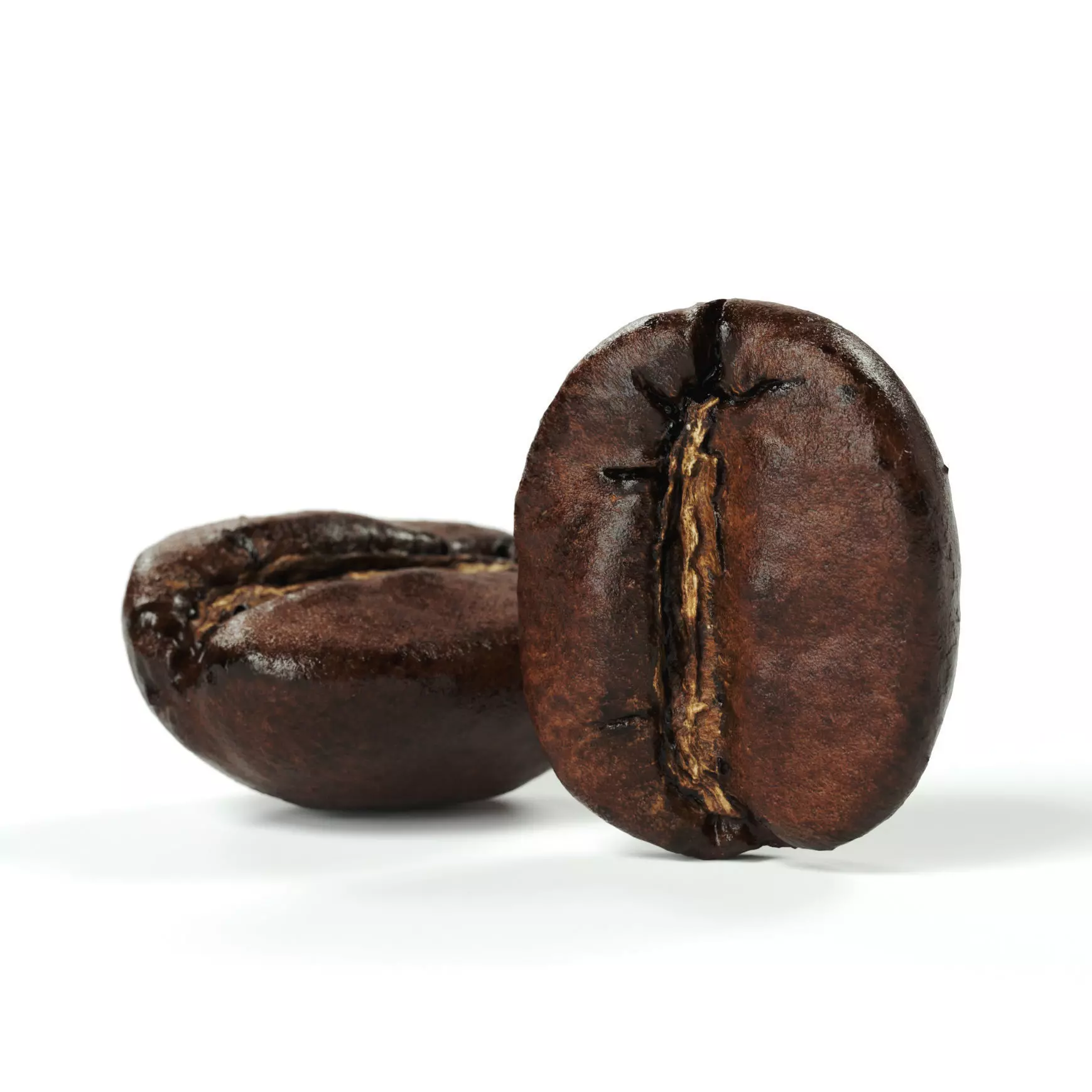 POLYPASTA - Coffeebean 02 3D model_0