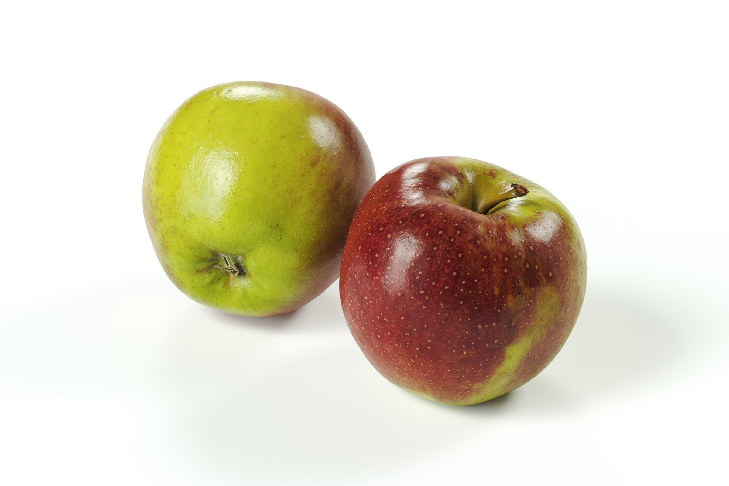 POLYPASTA - Apple 01 3D model_3