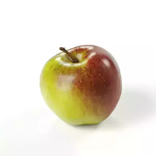 POLYPASTA - Apple 01