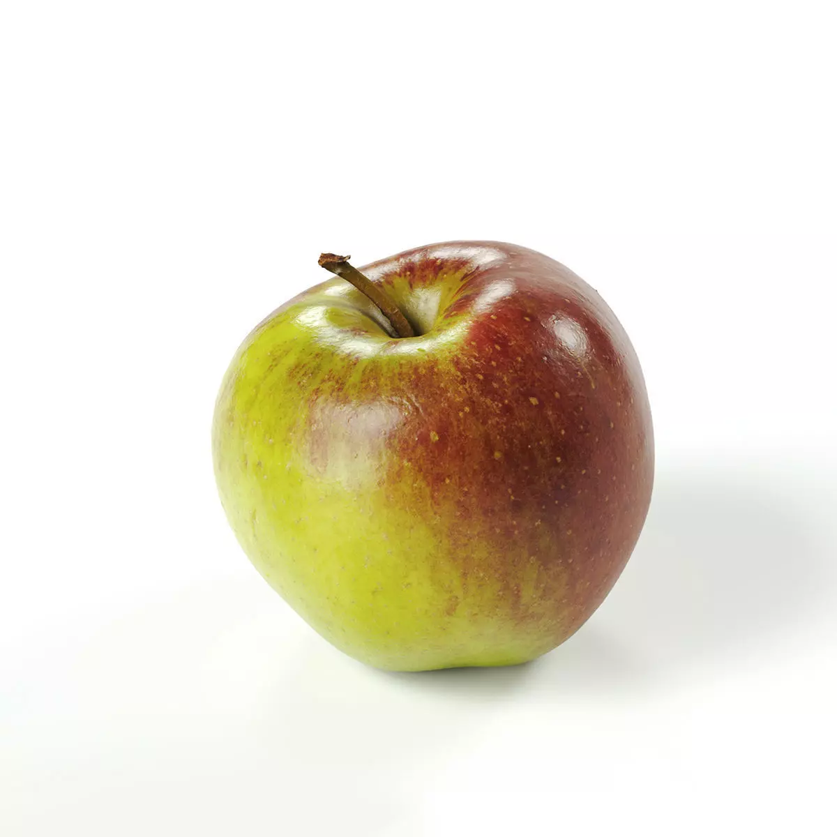 POLYPASTA - Apple 01 3D model_0